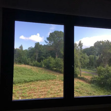 Apartman Vicano *